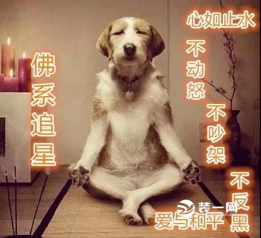 全网装修最随缘方式快看这里